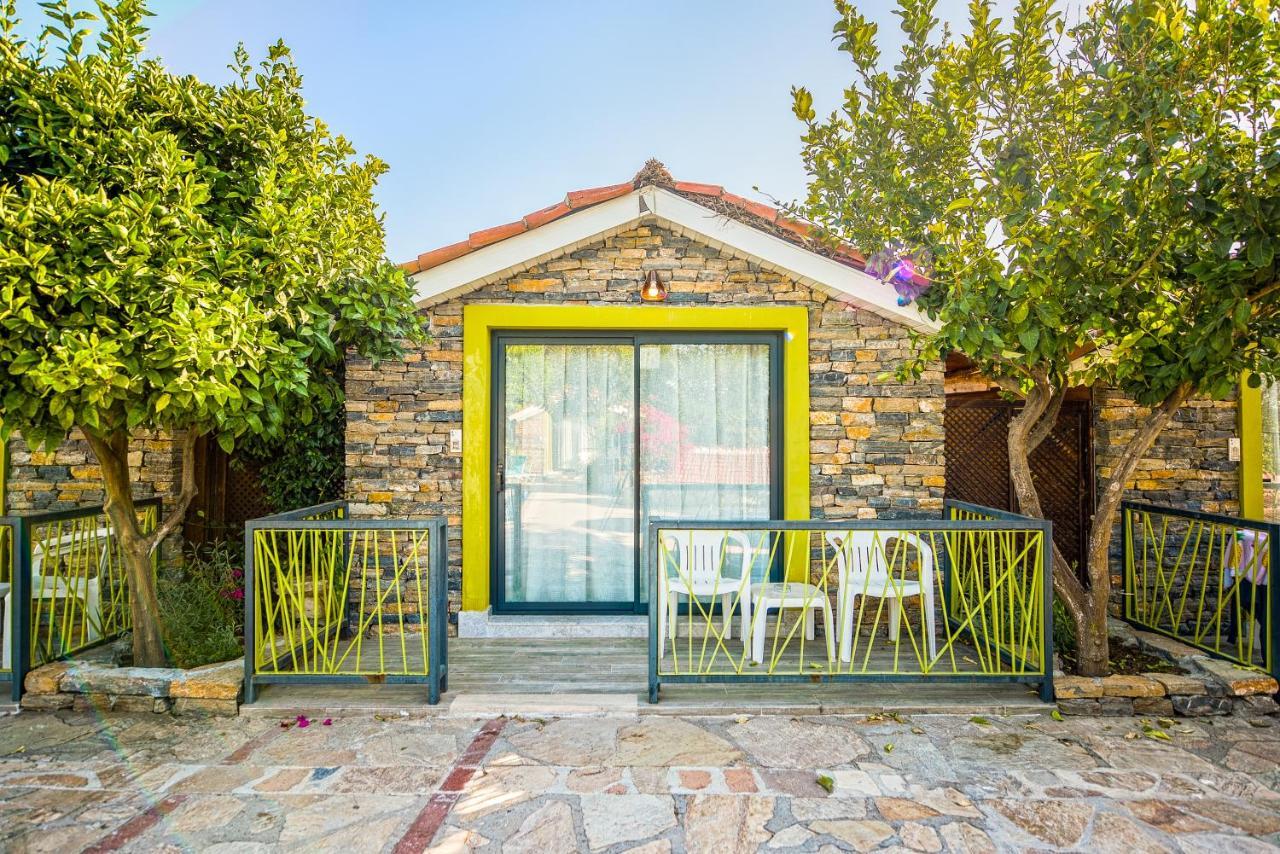 סייד Leda Beach Hotel מראה חיצוני תמונה